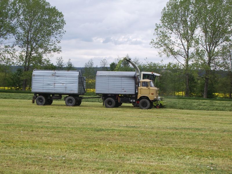 Claas Jaguar 900 mit IFA W50 LA 03.jpg